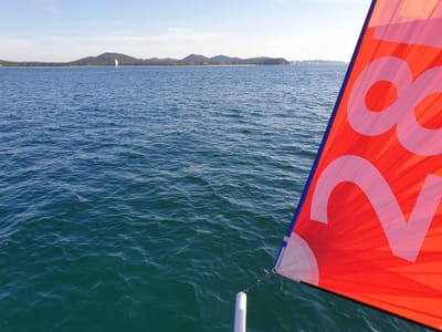 20190413_153117.jpg
