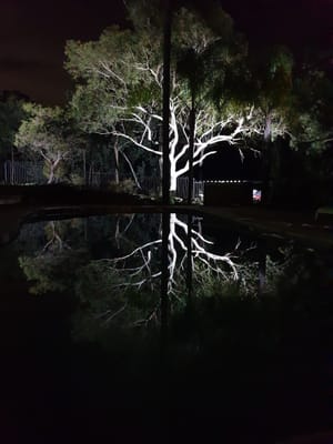 20190505_191910.jpg