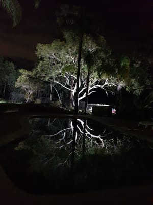 20190505_192210.jpg