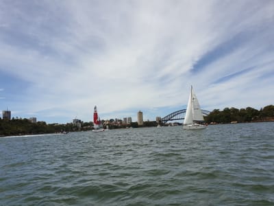 20190216_133553.jpg