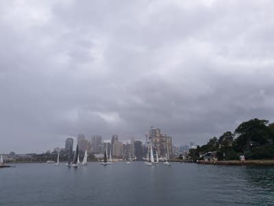 20190313_191807.jpg