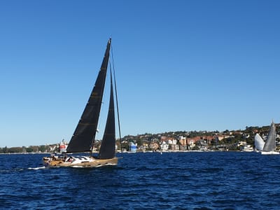 20190512_144238.jpg