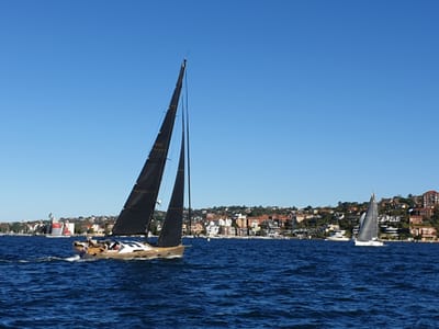 20190512_144239.jpg