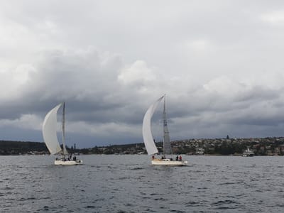 20190602_135130.jpg