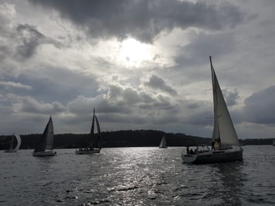 20190602_135356.jpg