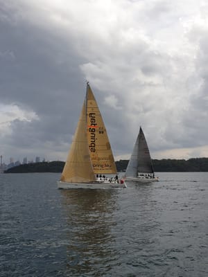 20190602_135733.jpg