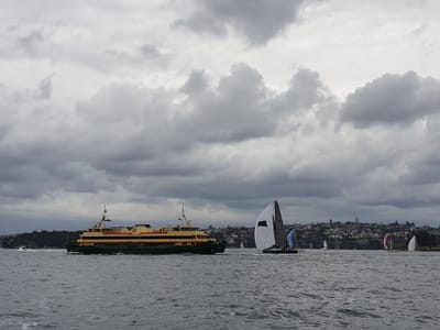 20190602_141202.jpg