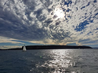 20190610_140307.jpg
