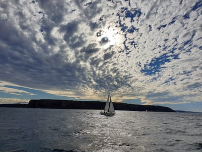 20190610_140320.jpg