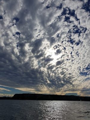 20190610_140419.jpg