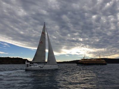 20190610_142441.jpg