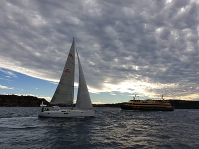 20190610_142442.jpg