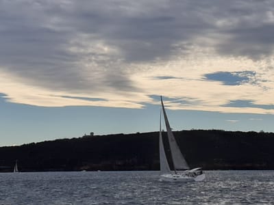 20190610_142804.jpg