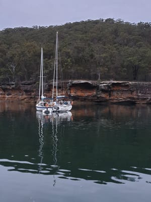 20191005_180324.jpg