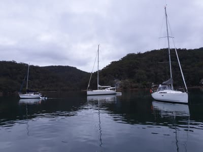 20191005_180334.jpg