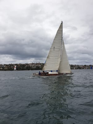 20191012_135624.jpg