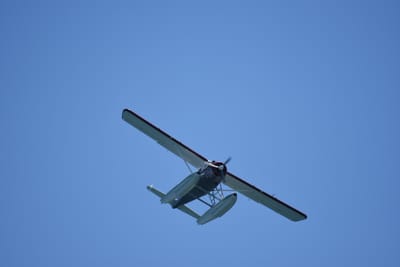 DSC_2255.JPG