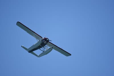 DSC_2256.JPG