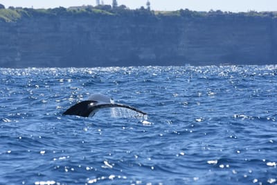 DSC_2287.JPG