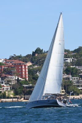 DSC_2313.JPG