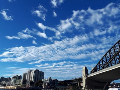 20190610_151516.jpg