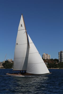 IMG_6767.JPG
