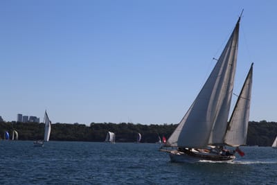 IMG_6806.JPG