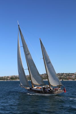 IMG_6809.JPG