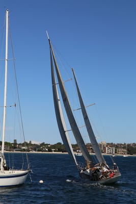 IMG_6811.JPG