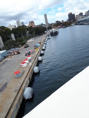 20190322_120341.jpg