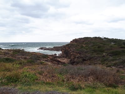 20190307_112543.jpg