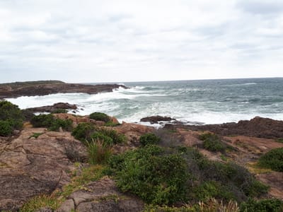 20190307_112924.jpg