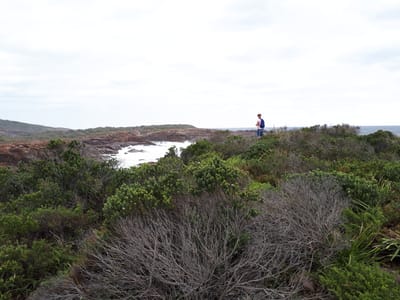 20190307_113636.jpg