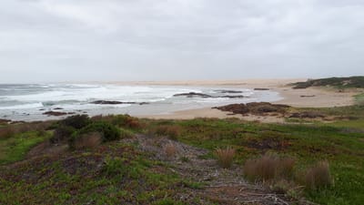 20190307_121845.jpg
