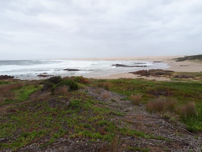 20190307_121859.jpg