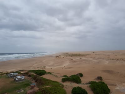 20190307_123318.jpg
