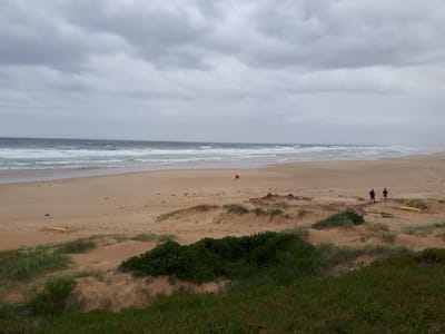20190307_123448.jpg