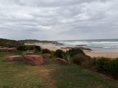 20190307_123620.jpg