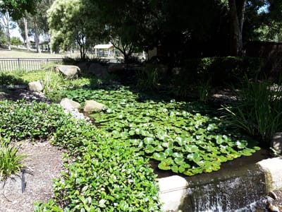 20190308_130504.jpg