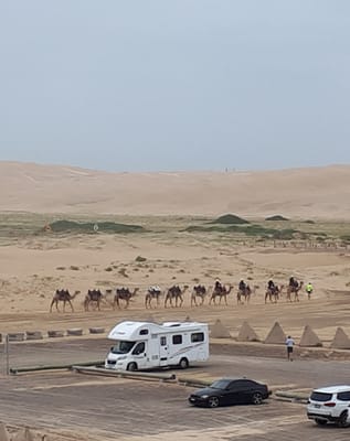 20190309_132409.jpg