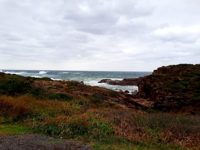 20190309_132937.jpg