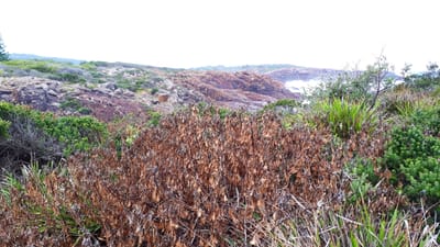 20190309_133225.jpg
