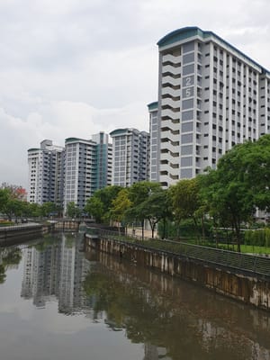 20190629_151124.jpg