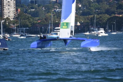 DSC_1989.JPG