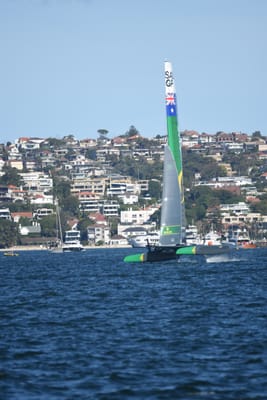 DSC_2077.JPG