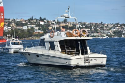DSC_7335.JPG