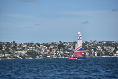 DSC_7337.JPG
