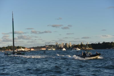 DSC_7338.JPG