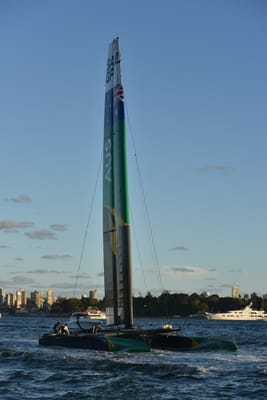 DSC_7339.JPG