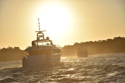 DSC_7358.JPG